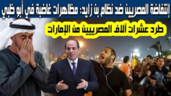 مظاهرات المصريين في الإمارات.. حقيقة ما جرى وتفاصيل المشهد