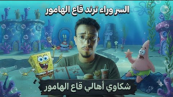 تريند قاع الهامور يتصدر السوشيال ميديا.. ما قصة المدينة التي أشعلت الجدل؟