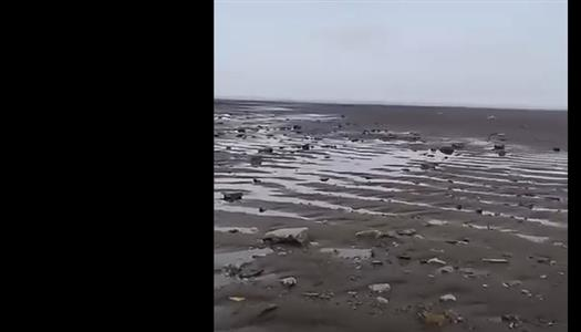 انحسار البحر في الأرجنتين.. ما حقيقة الظاهرة التي أثارت الجدل؟